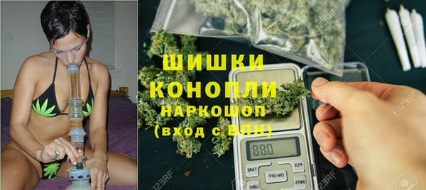 СК Кодинск
