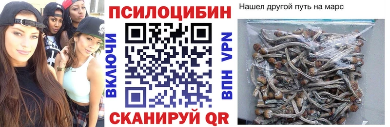купить закладку  Инсар  Галлюциногенные грибы GOLDEN TEACHER 